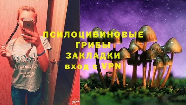 скорость Абаза