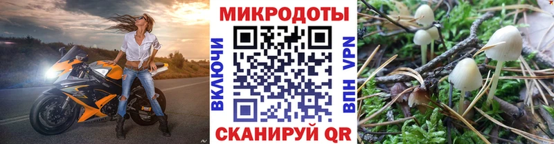 Псилоцибиновые грибы Psilocybine cubensis Грозный